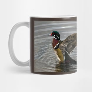 Wood Duck Drake Showing Off Mug